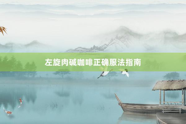 左旋肉碱咖啡正确服法指南