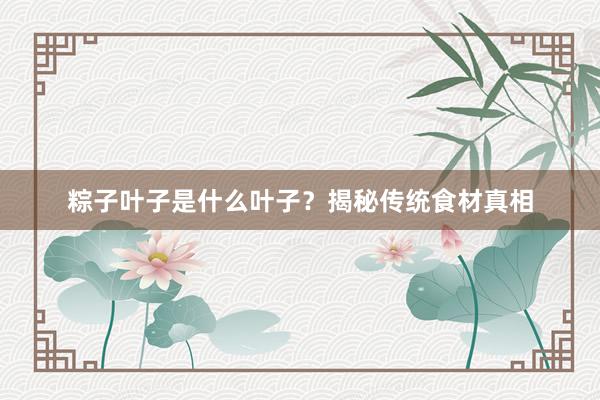 粽子叶子是什么叶子？揭秘传统食材真相
