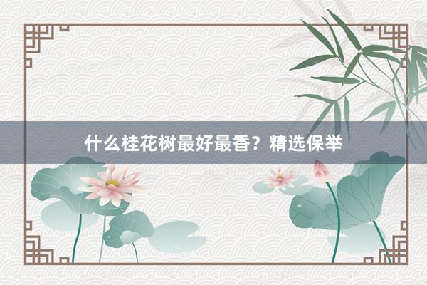 什么桂花树最好最香？精选保举