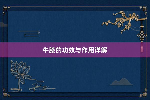 牛膝的功效与作用详解