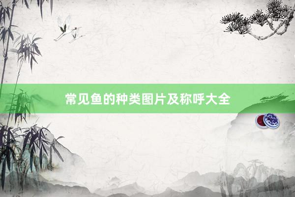 常见鱼的种类图片及称呼大全