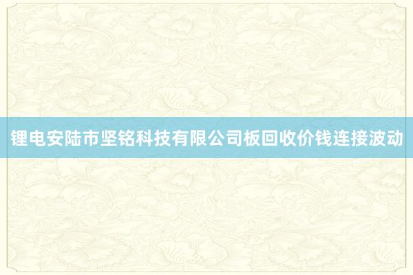 锂电安陆市坚铭科技有限公司板回收价钱连接波动